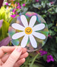 Happy Daisy Rainbow Suncatcher Sticker