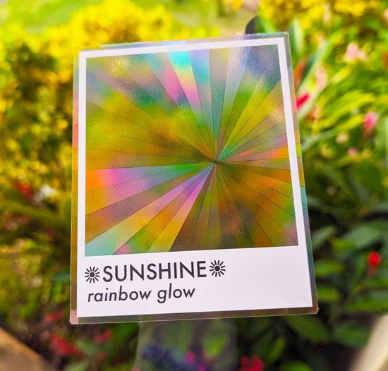prismatic rainbow suncatcher radial sticker on a window with tropical plants outside